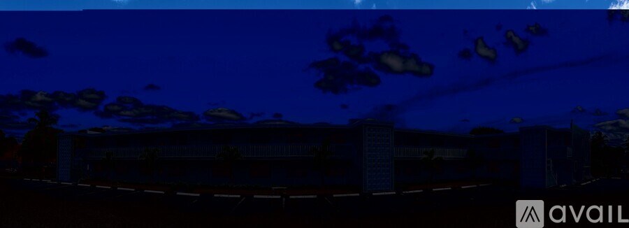 A group of fish swim in the water.