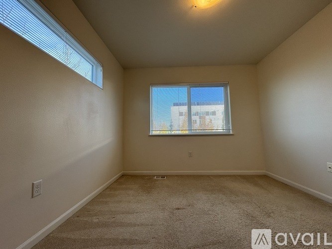 A room with a carpeted floor and a window with blinds.