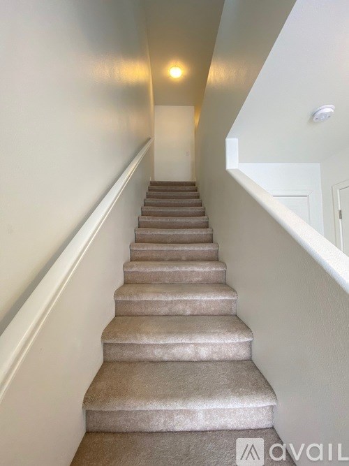 A staircase with beige carpeted steps and white walls.