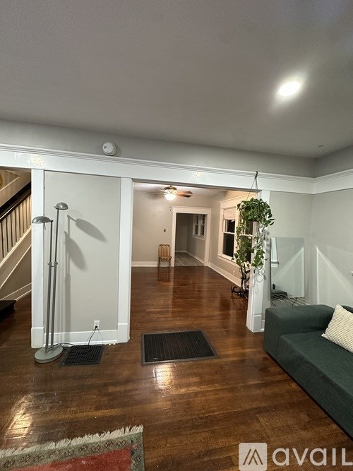 A living room with a couch, a rug, and a plant.