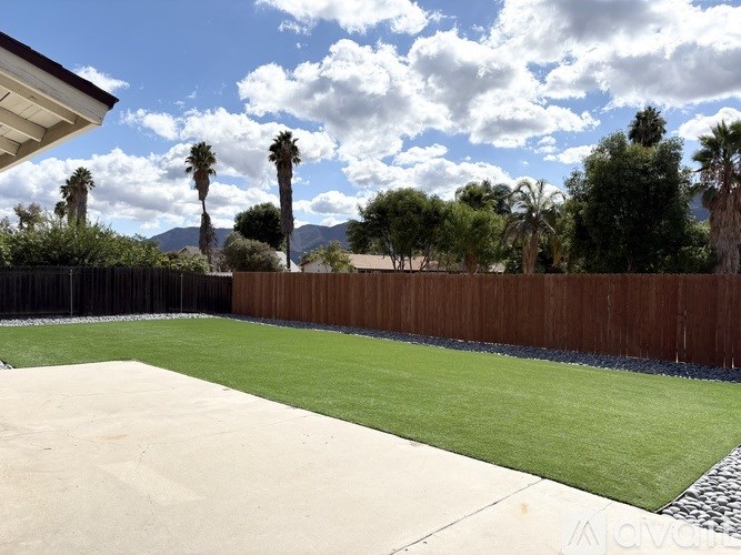 A backyard with a fence and palm trees.