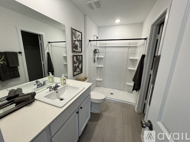 A bathroom with a sink, mirror, toilet, and a walk-in shower.