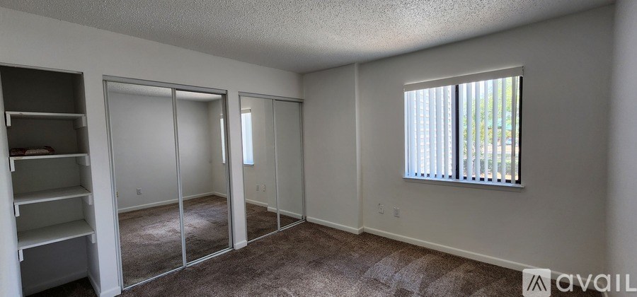 A room with a carpeted floor, a window with blinds, and a closet with shelves.