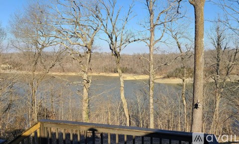 A leafless tree stands in front of a body of water.