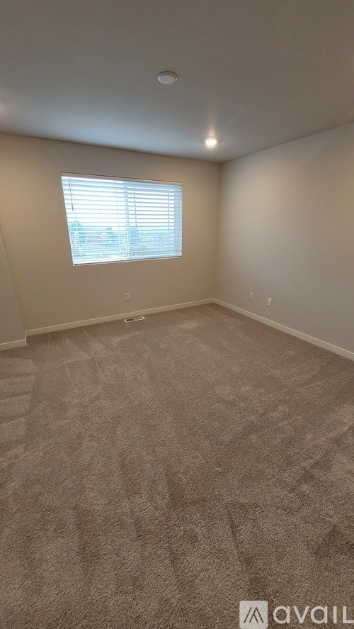 A room with a carpeted floor and a window with blinds.