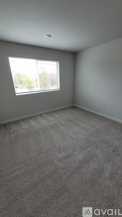 A room with a carpeted floor and a window.