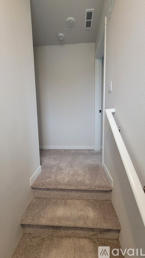 A hallway with a carpeted staircase leading to a door.
