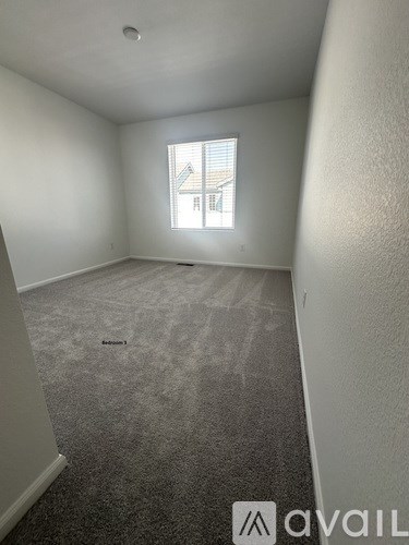 A room with a carpeted floor and a window.