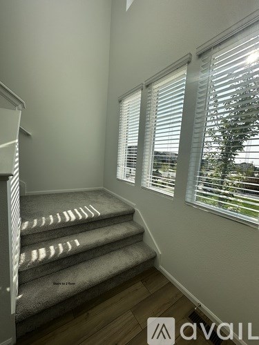 A staircase with a carpeted runner and wooden steps leads up to a window with white blinds.