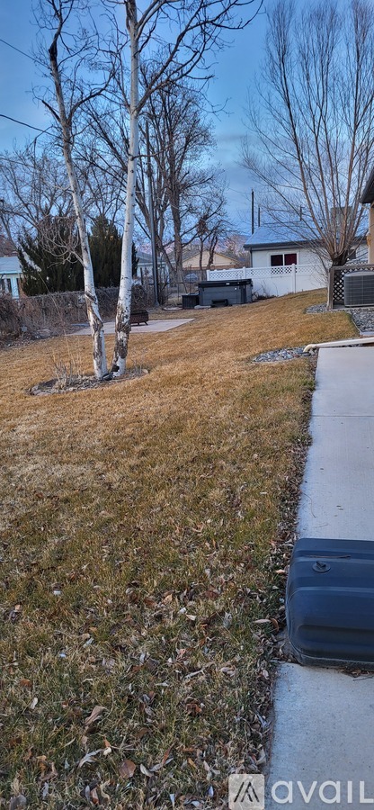 A grassy area with a tree and a house in the background.