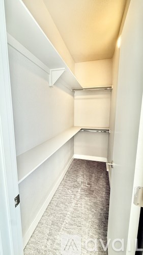 A white closet with a grey carpet.