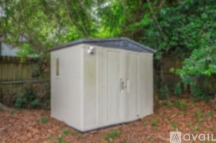 A shed sits in a backyard surrounded by trees.