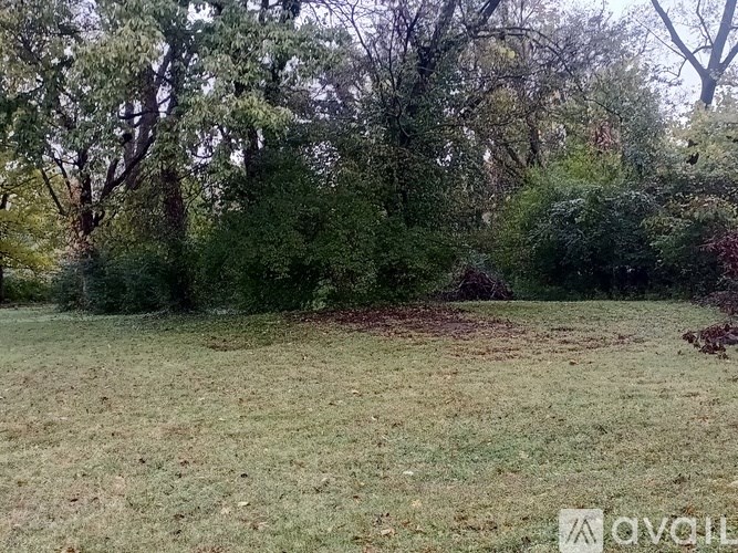 A grassy field with trees in the background.