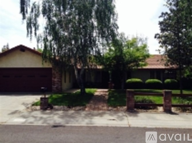 A house with a driveway and a tree in front of it.