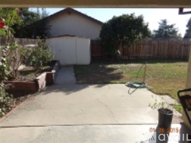 A backyard with a shed and a fence.