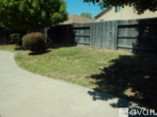 A residential area with a fence and a tree.