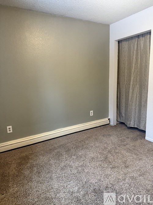 A room with a carpeted floor and a door with a curtain.