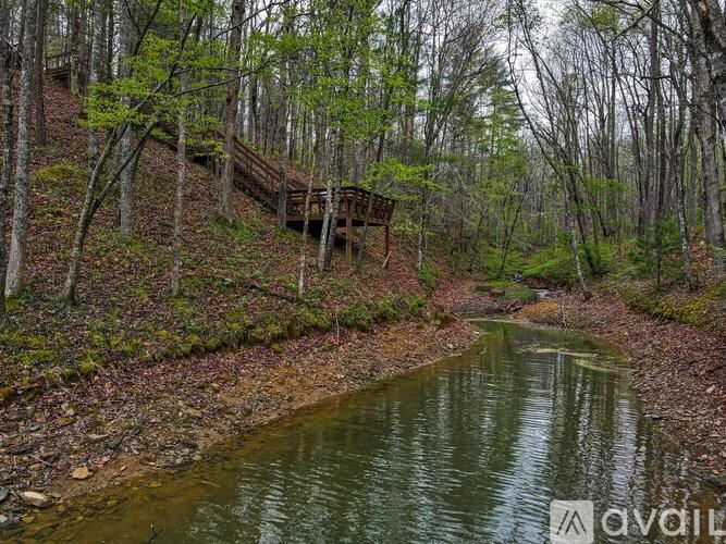 A small stream flows through a forest with a wooden staircase on the hillside.
