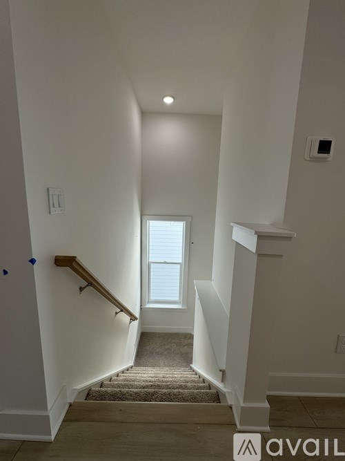 A staircase with a carpeted runner and wooden handrail.