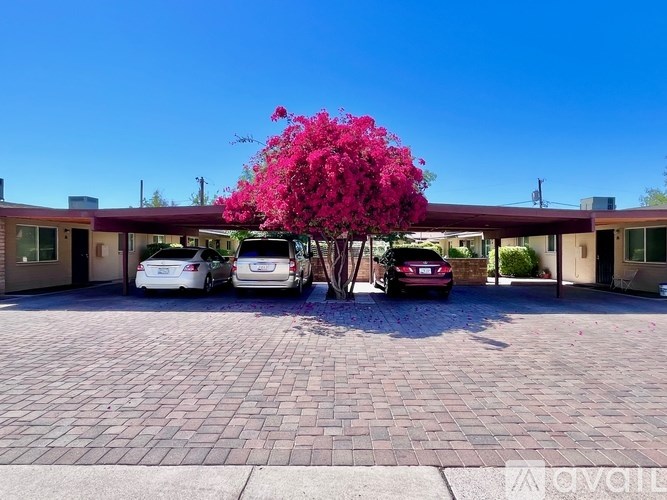 A carport with three cars and a tree with pink flowers.