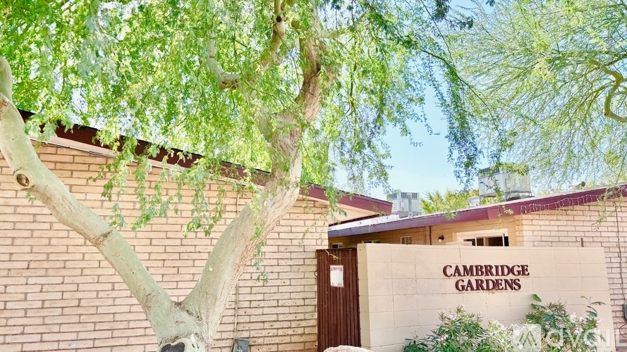 A tree in front of a Cambridge Gardens sign.