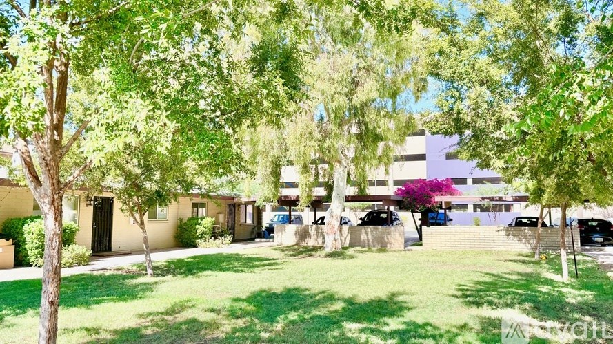 A tree-lined courtyard with a building in the background.