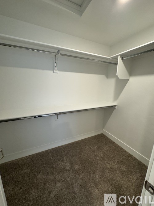 A white closet with a grey carpet.