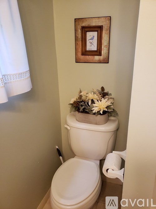 A white toilet with a flower pot on top of it.