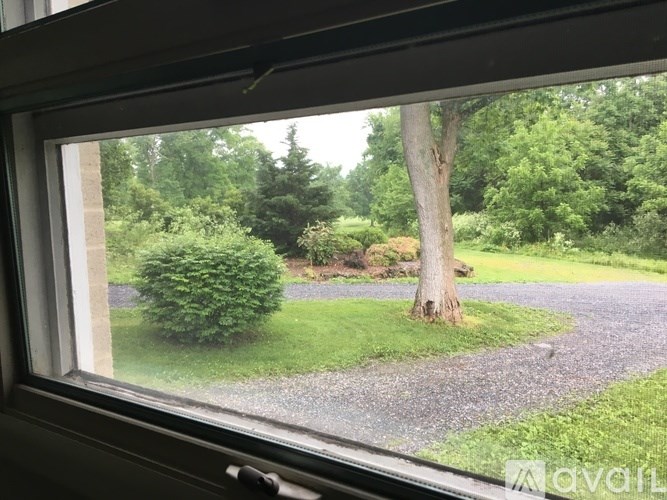 A view of a garden through a window.
