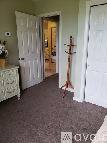 A room with a carpeted floor, a white door, and a wooden stick leaning against the wall.