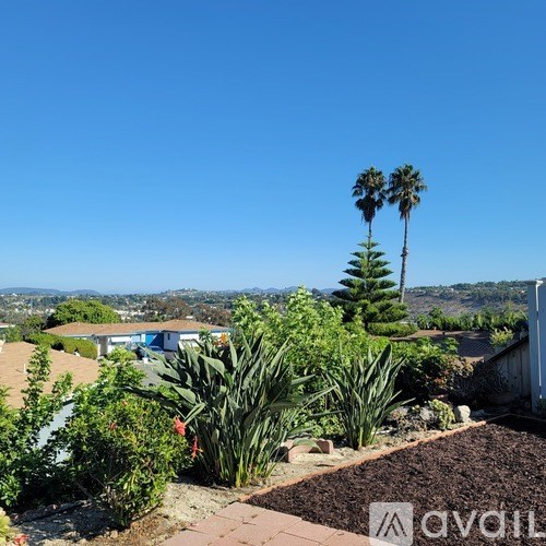 A backyard with a palm tree and a house in the distance.