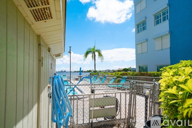 A pool area with a blue hose and a palm tree in the background.