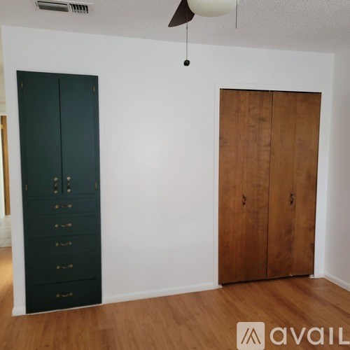 A room with a dark green wardrobe and a wooden door.