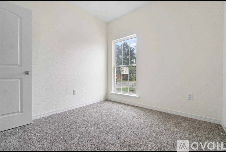 A room with a carpeted floor and a window showing a view of a tree and a building.