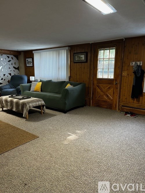 A living room with a couch, chair, and a rug.
