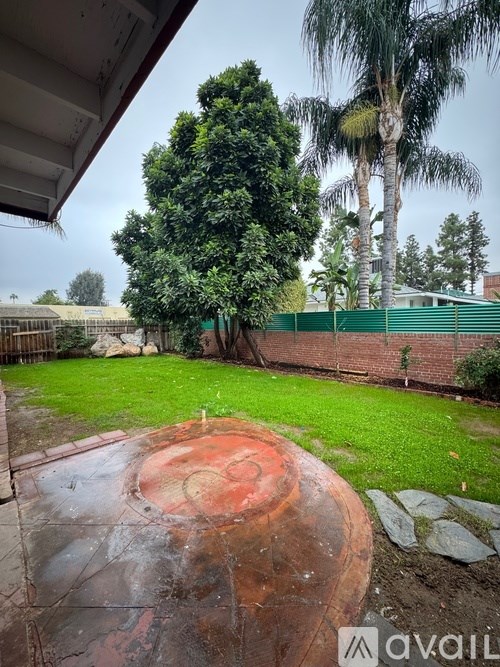 A backyard with a red circular object in the center.