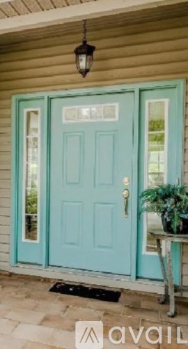 A blue door with a glass window and a potted plant on the side.