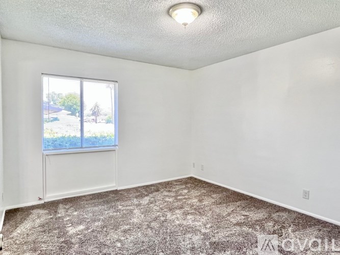 A room with a carpeted floor and a window showing a view of a street.