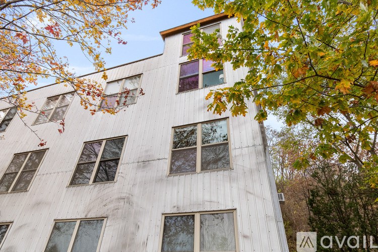 A tall building with a lot of windows and a tree with yellow leaves in front.