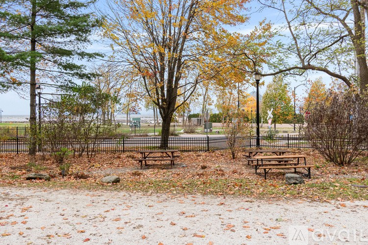 A park with a bench and a tree with yellow leaves.
