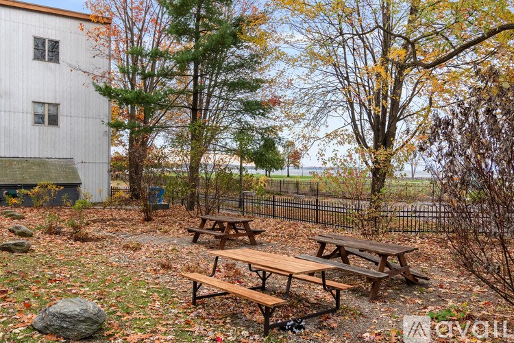 Picnic tables and benches are set up in a yard.