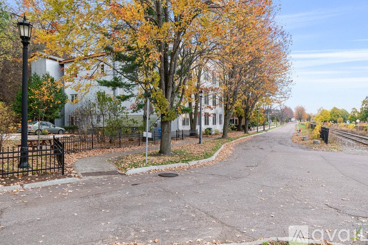 A tree-lined street with a sidewalk and a lamp post.