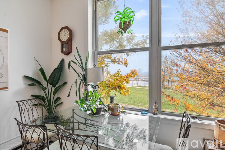 A window with a view of a green lawn and trees.