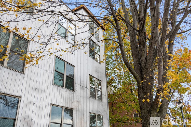 A tall building with a tree in front of it.