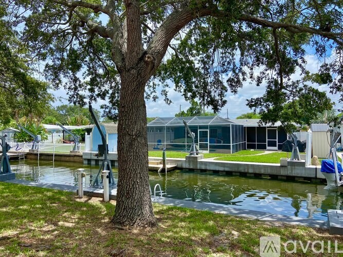 A tree stands in front of a house on a dock.