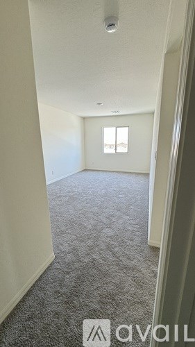 A carpeted room with a window and a door.