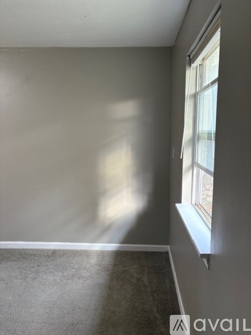 A room with a window on the right side and a carpet on the floor.