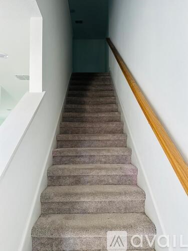 A staircase with a wooden handrail and beige carpeted steps.