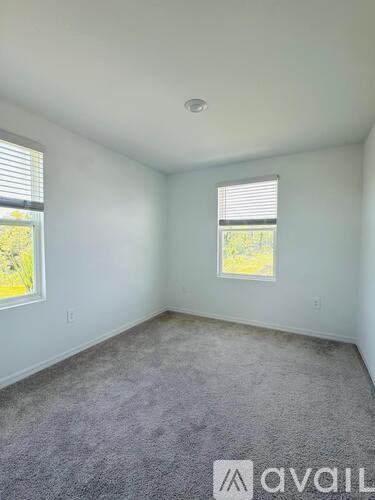 A room with carpeted floor and two windows.