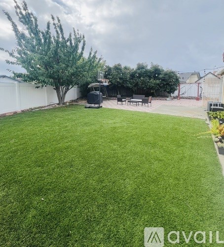 A backyard with a basketball hoop and a tree.